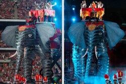 Formed Elephant Tubing